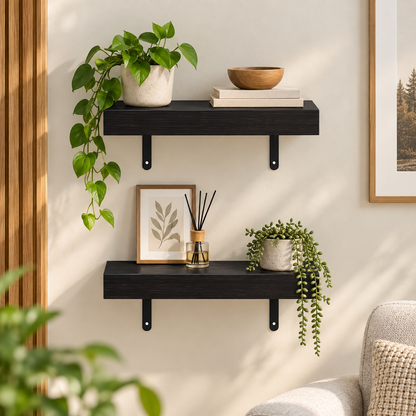 Modern Floating Display Shelves Set